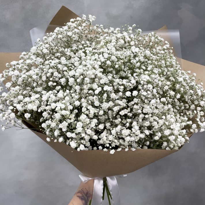 7 гипсофила