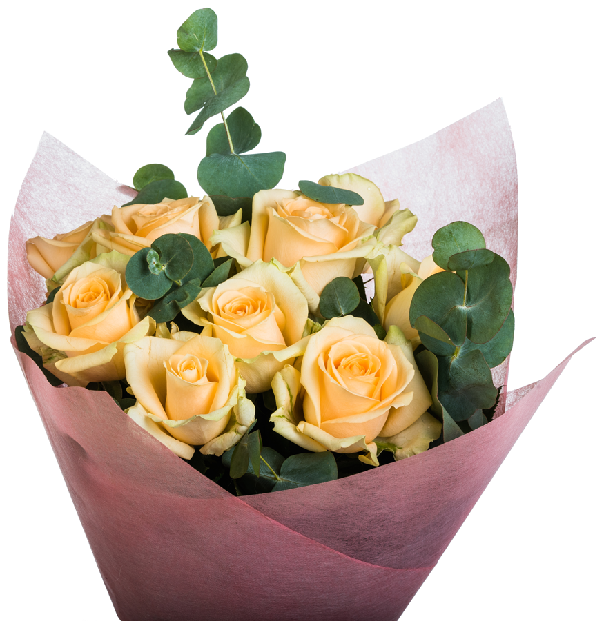 9 кремовых роз