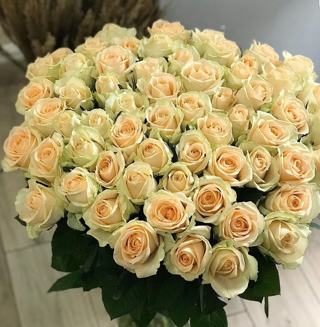 31 cream roses