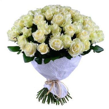 101 White Roses Elegant