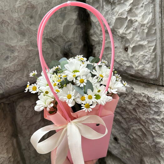 Chamomile "Summer for you"