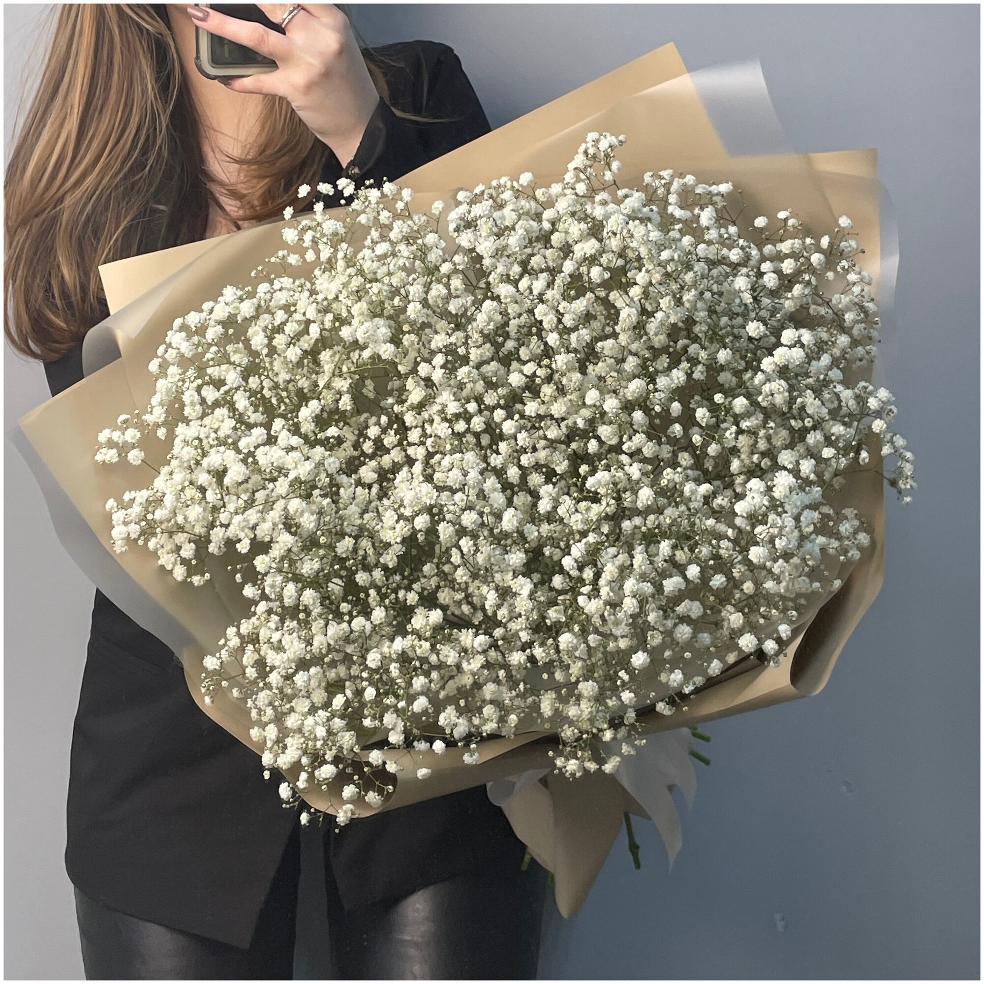 31 gypsophila