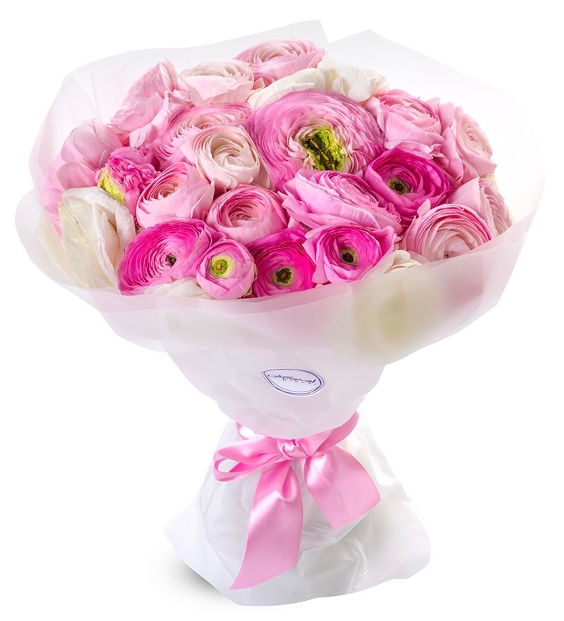 31 ранункулюс