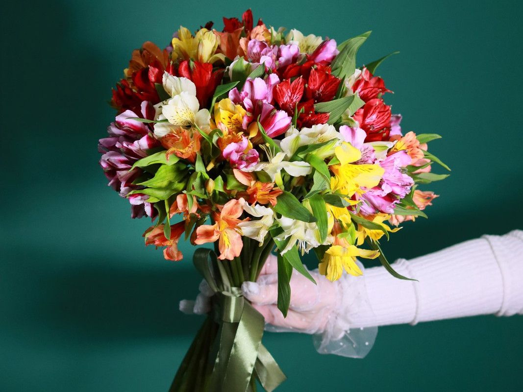 21 альстромерии