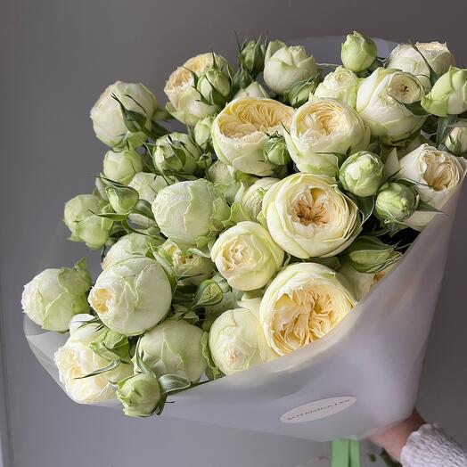 Пиони баблз, кустовые пионовидные розы 🐣