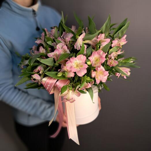 Tender alstromeria in a hat box