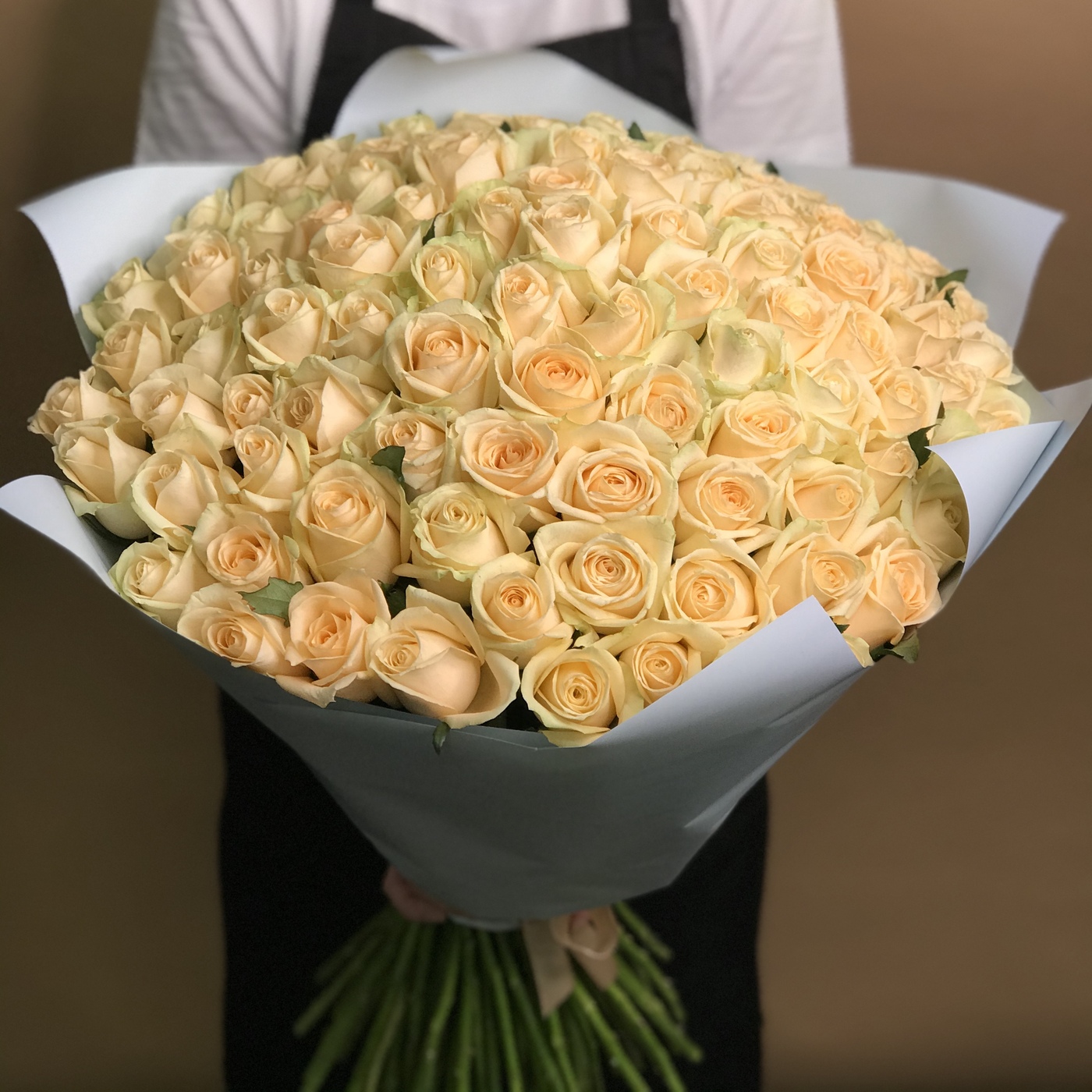 101 cream roses