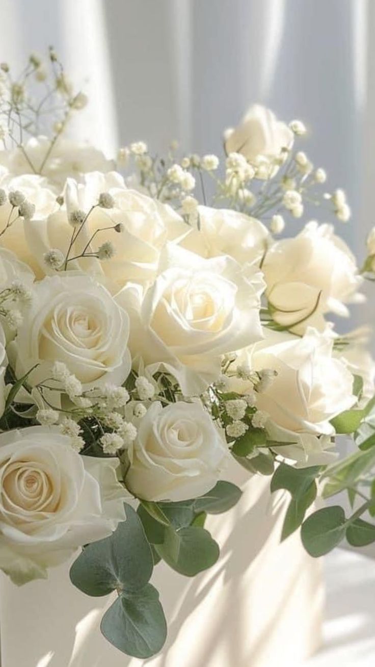 31 белая роз