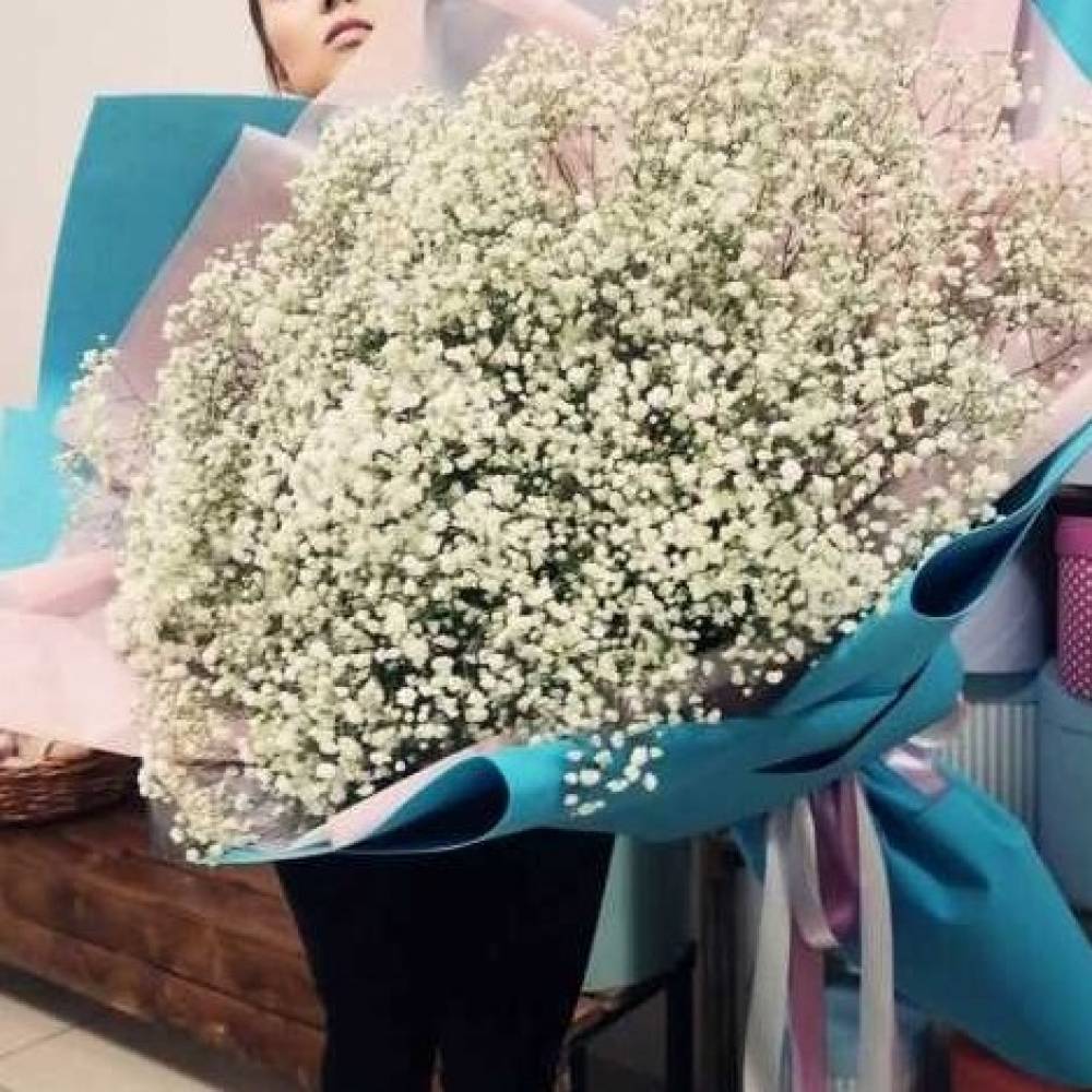101 gypsophila