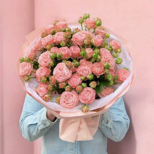 Bush roses are pionoid