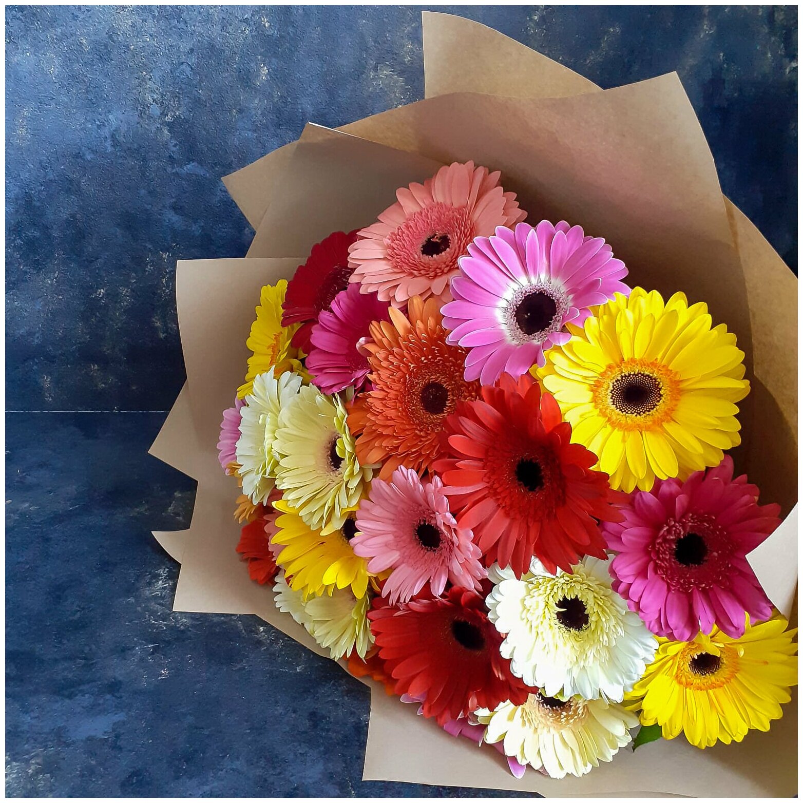 21 gerberas