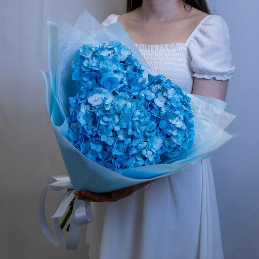 Небесный шарм с гортензией