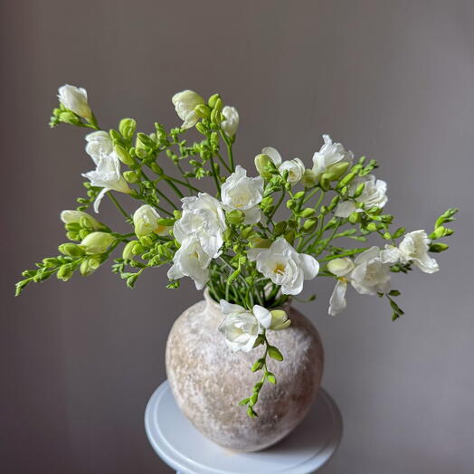 Fragrant freesia 19 pcs. Veresh 115