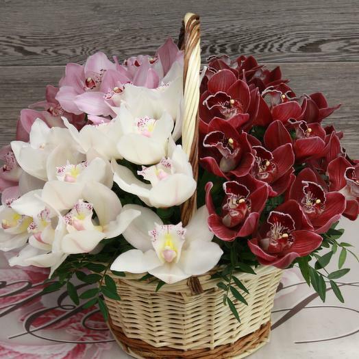 Basket with orchids