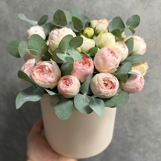 Box from bush pionoid roses Mensfield