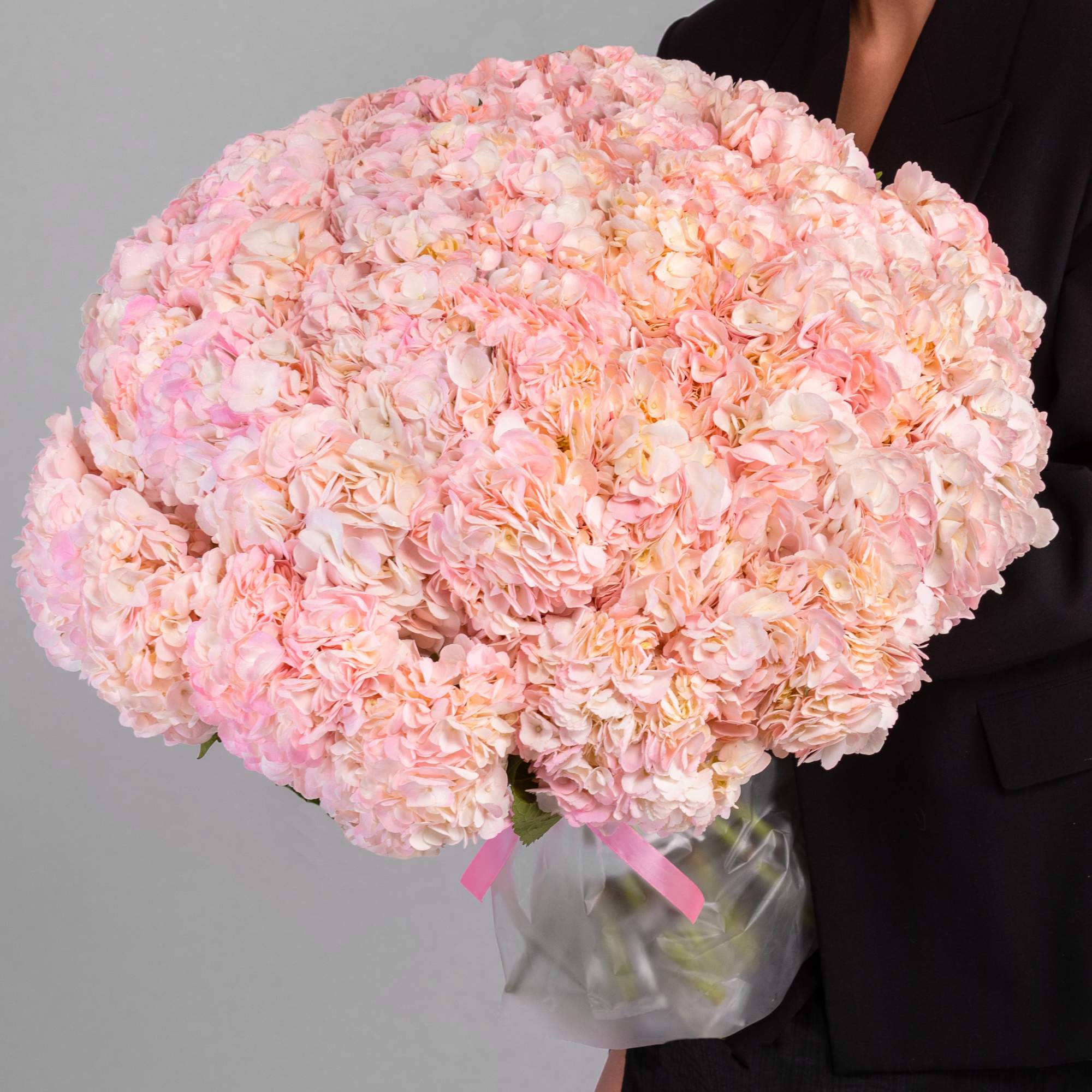 51 гортензия