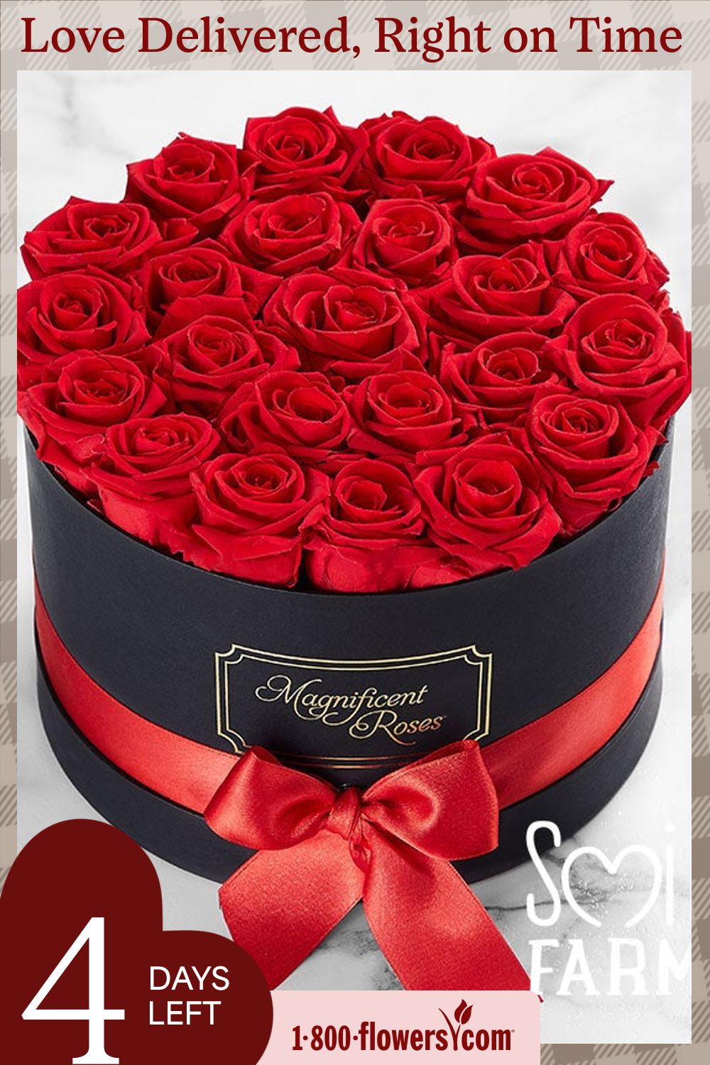 Уютная цветочная коробка 🌺