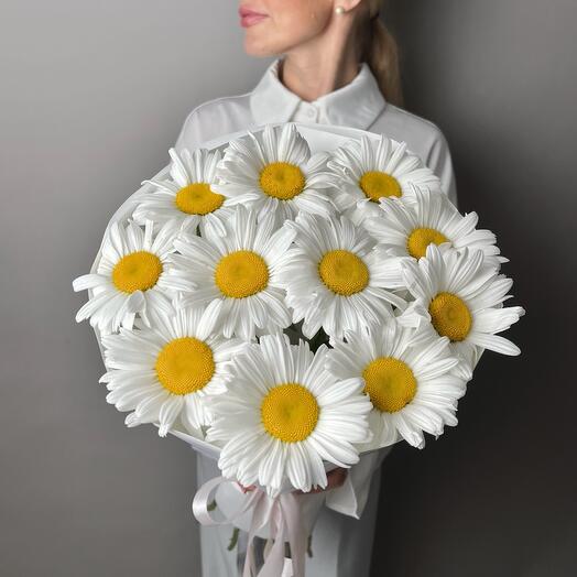 Ромашки 11 шт