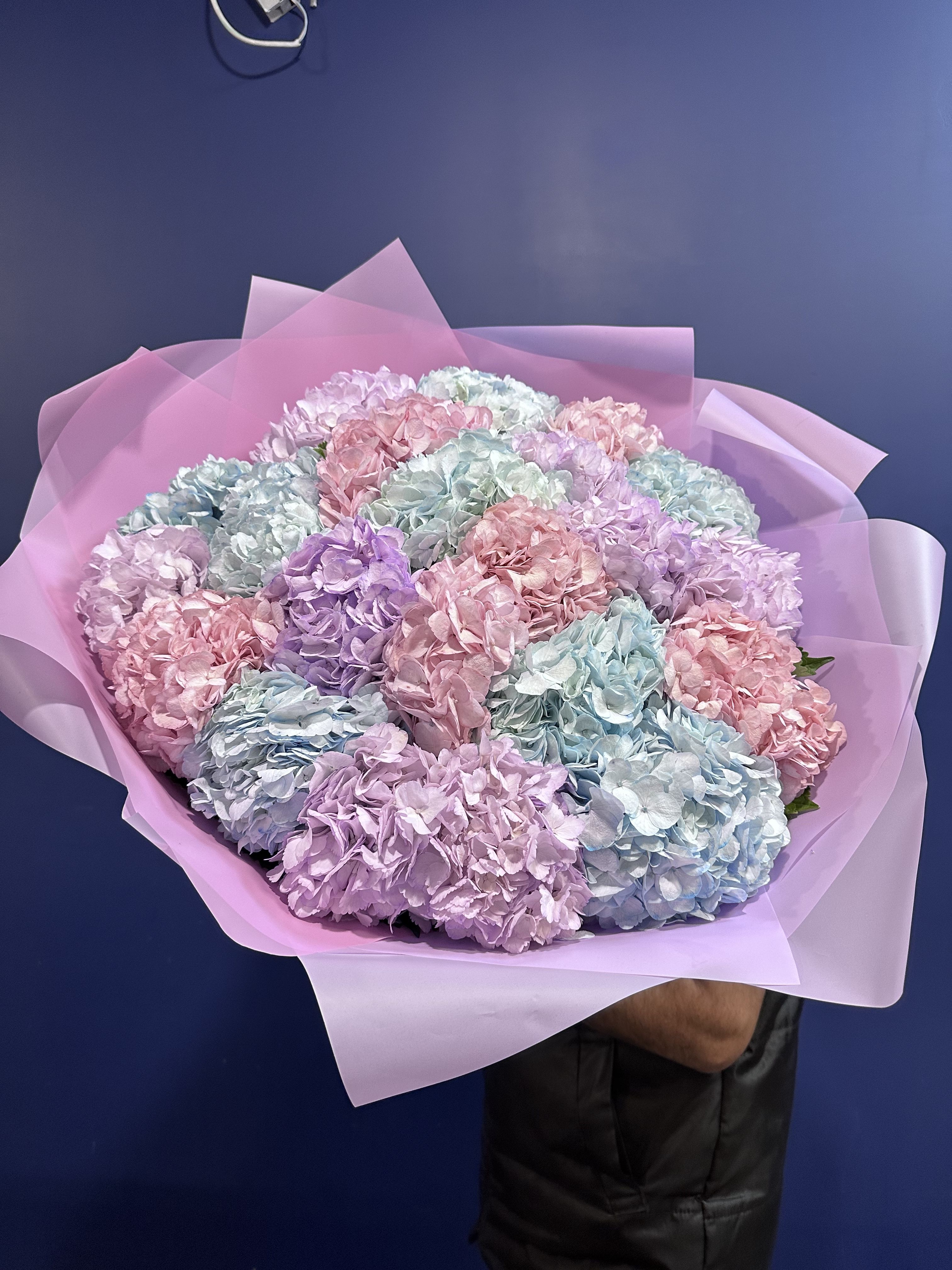 21 гортензия