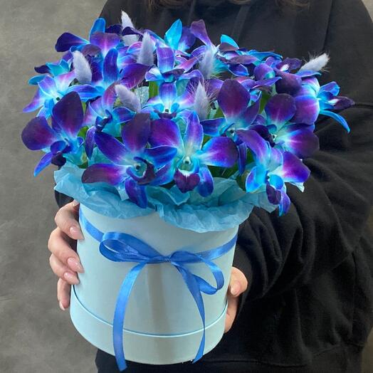Орхидея в коробке . 💙Звездочка 💙