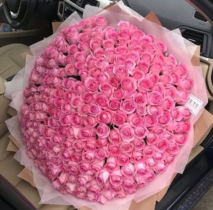 101 Pink Roses 50 cm Gorgeous ✨