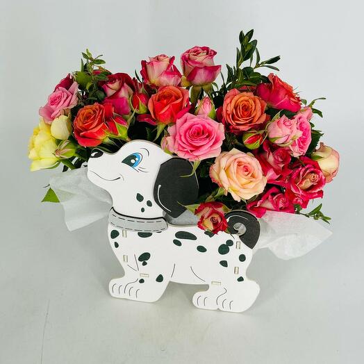 Kashpo Dalmatian with a variety of bush roses