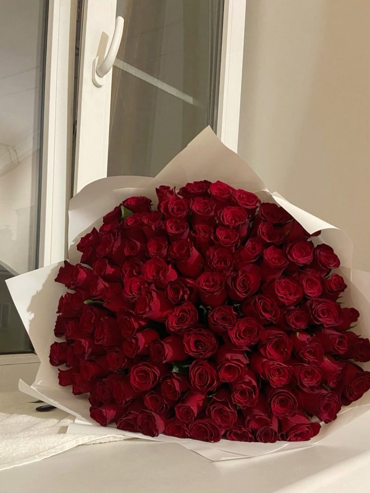 1001 красная роза нежная 🌹💫