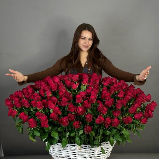 201 роза (премиум) акция