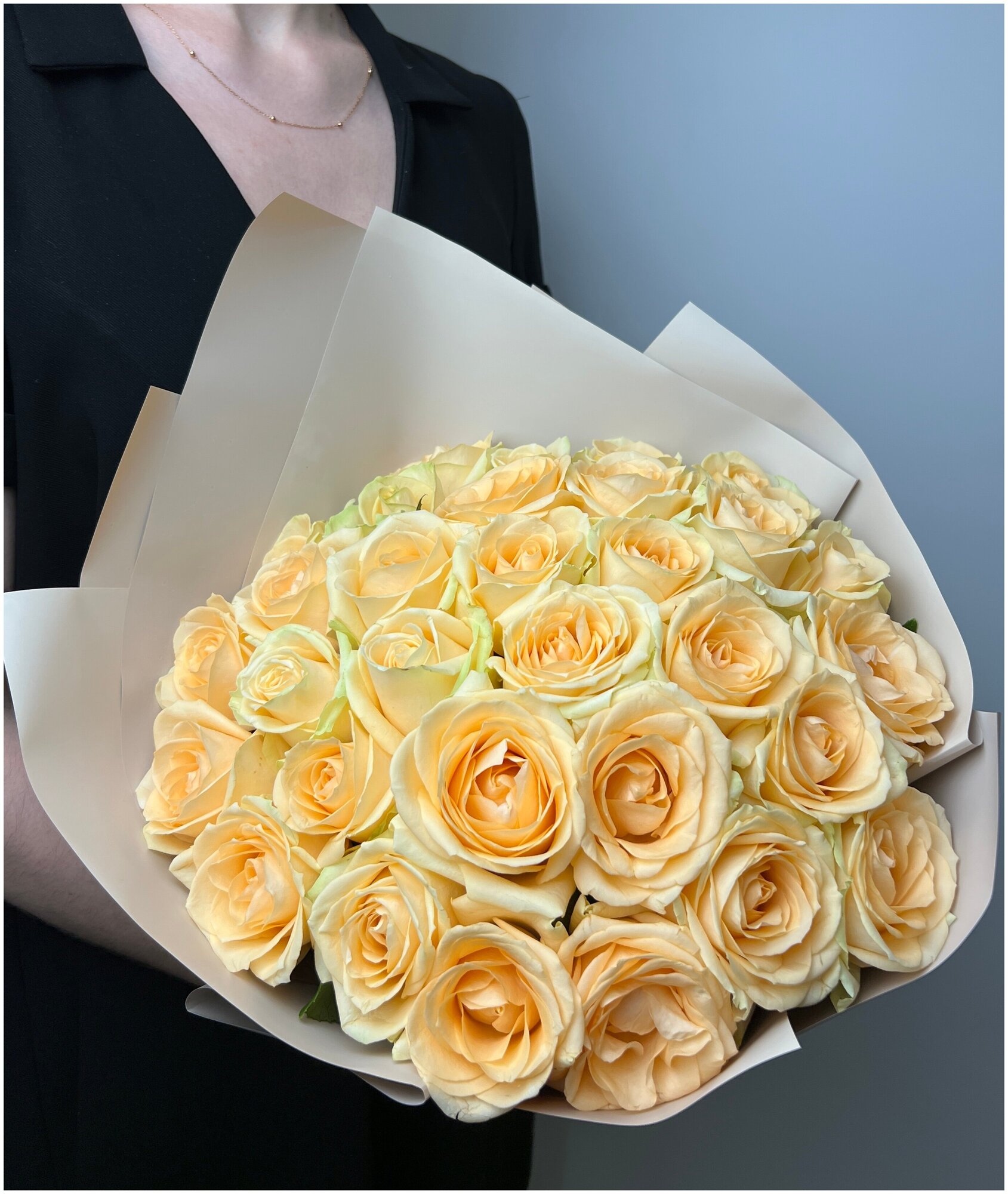 31 кремовая роза