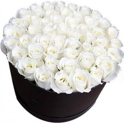 51 White Roses Exquisite