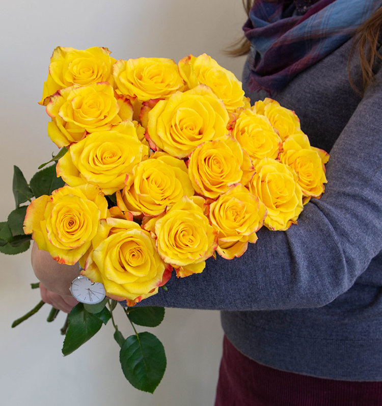 15 yellow roses