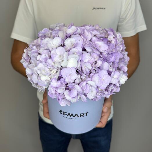 Box from lavender hydrangeas 😇