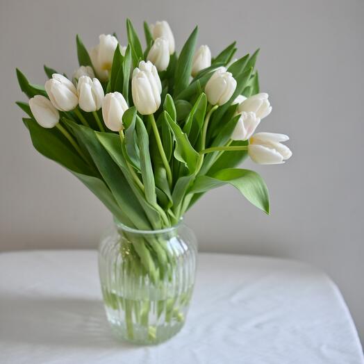 White tulips