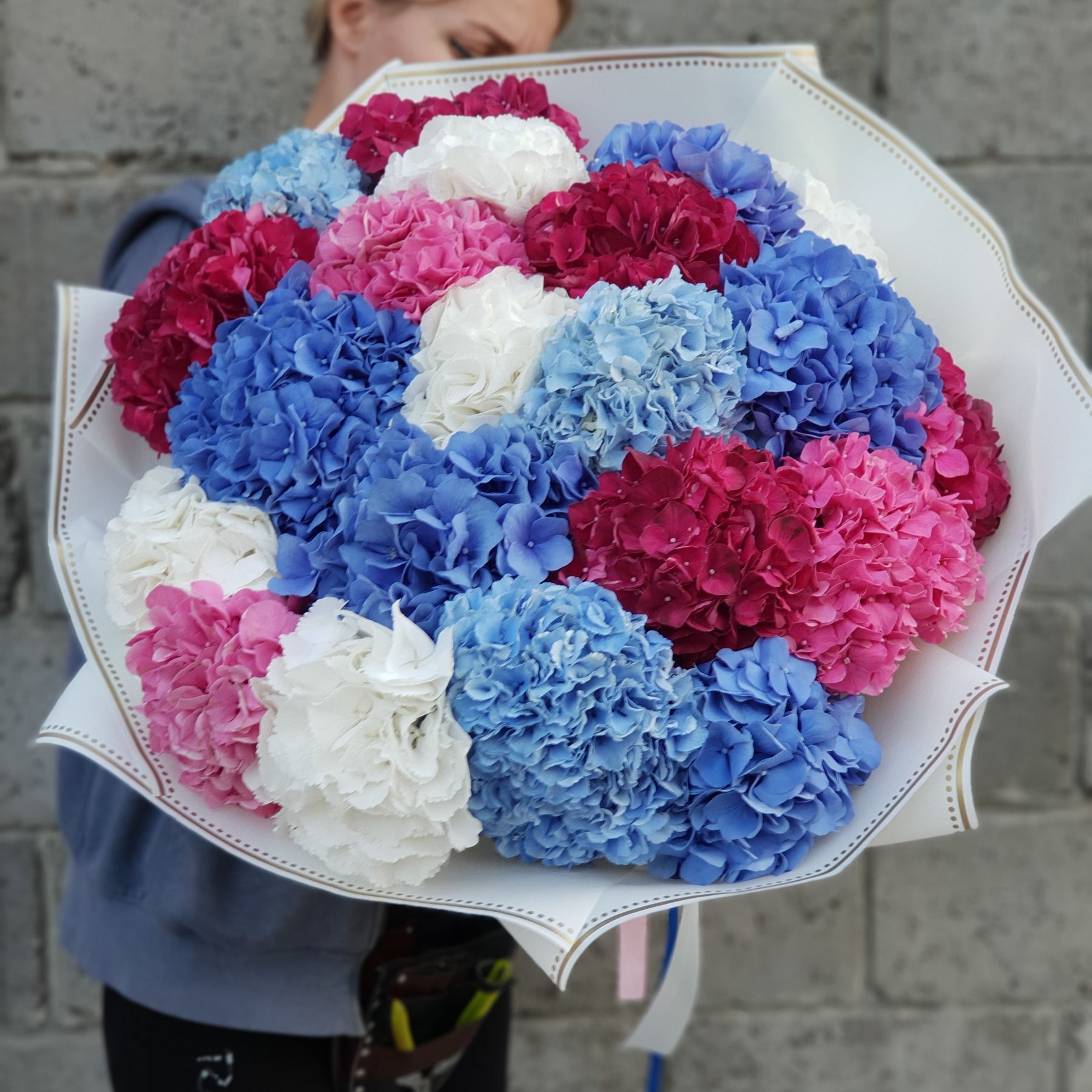 51 гортензия