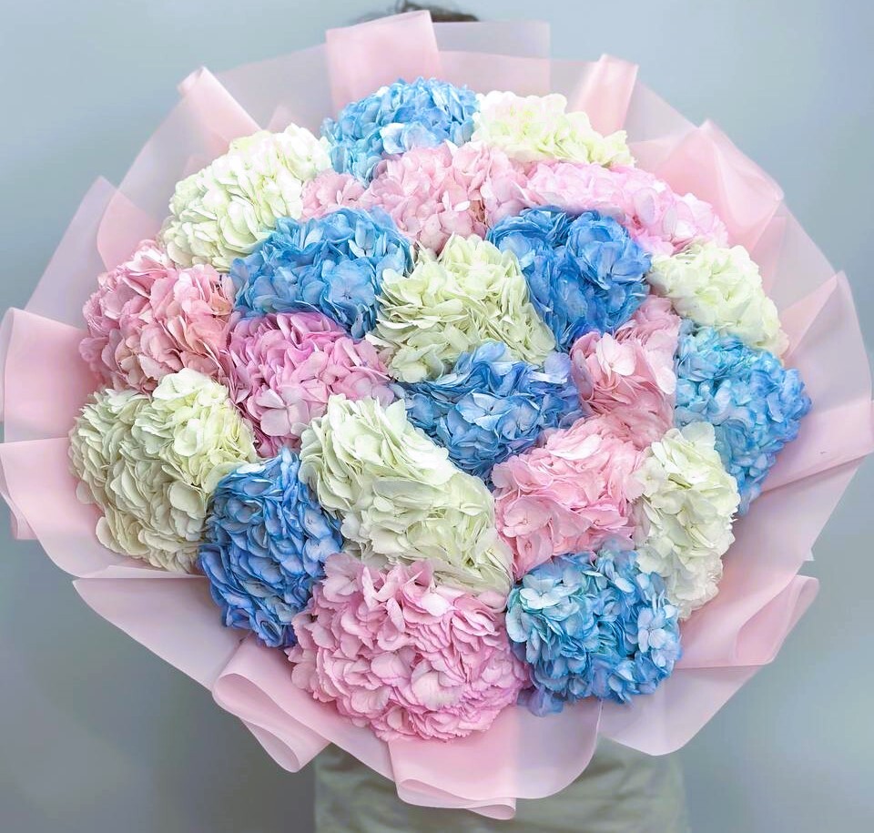 21 hydrangea