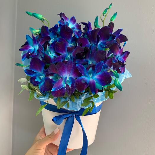 Orchid in the bouquet "Northern Lights"