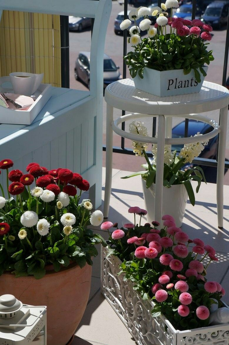 Bright flower box 🌸🌿