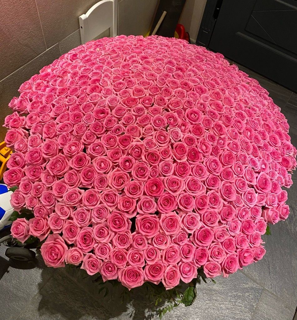 101 Pink Roses 50 cm Exclusive 🔥