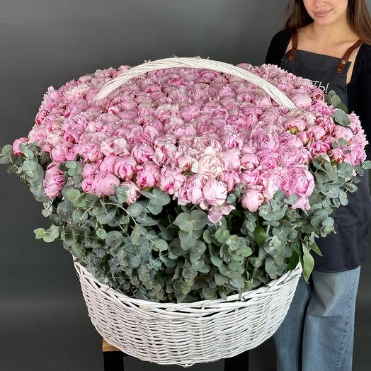 Розовые пионы (251 пион)