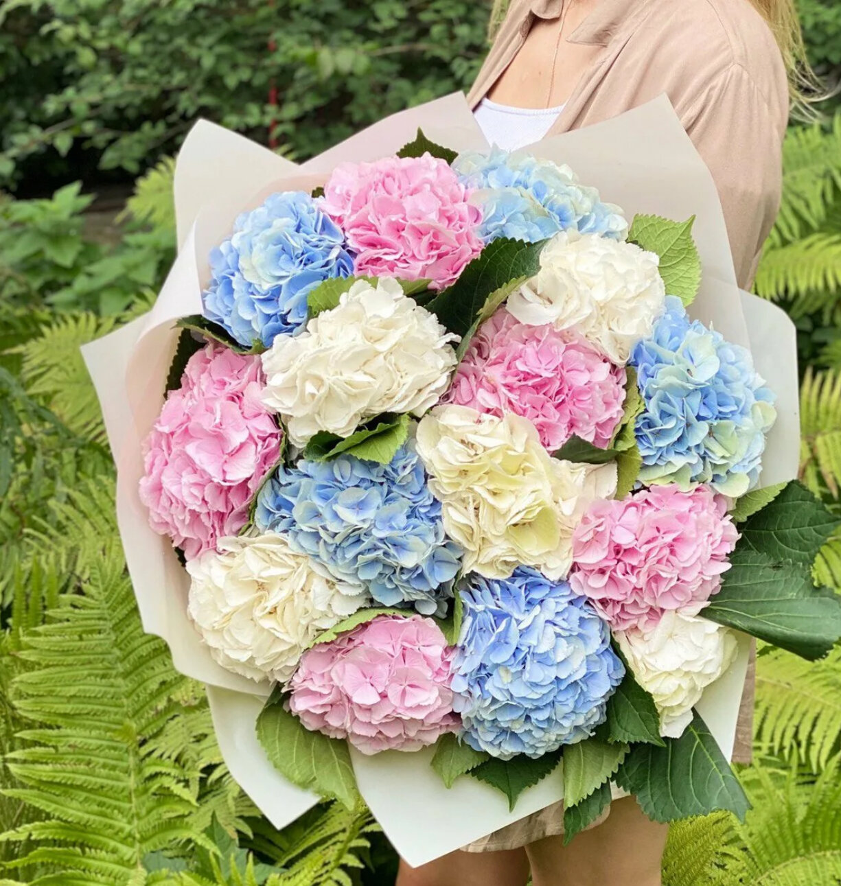 15 hydrangea