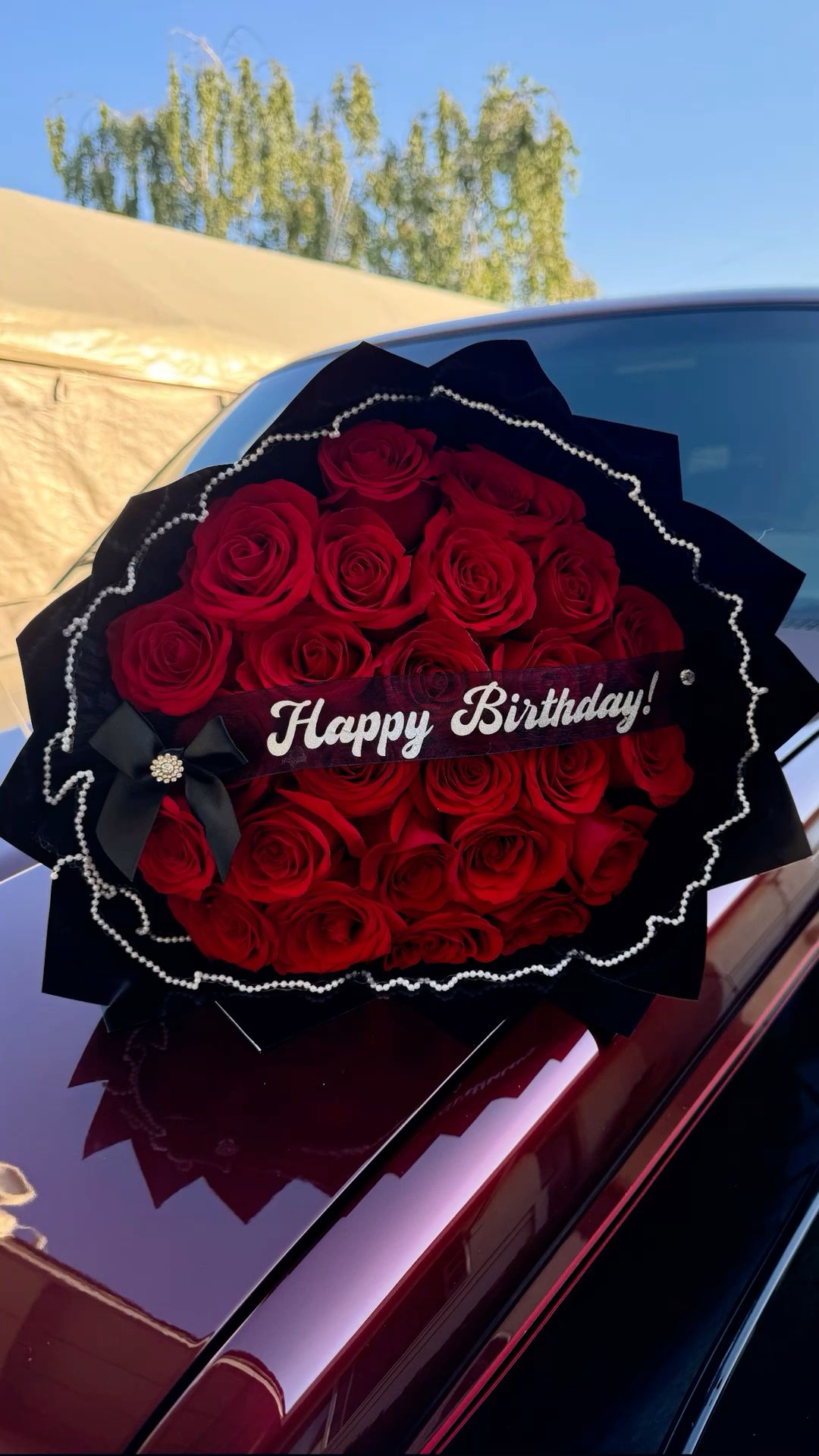 25 красных роз премиум 🌹