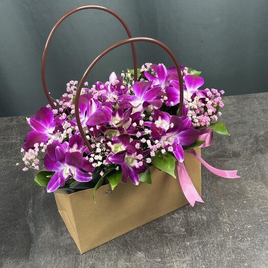 Дендробиум фиолетовый 💜 в коробке