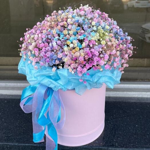 Gypsophila in the box