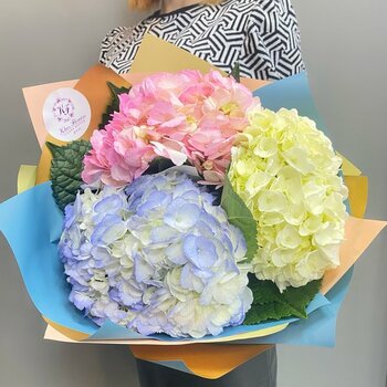 31 гортензия