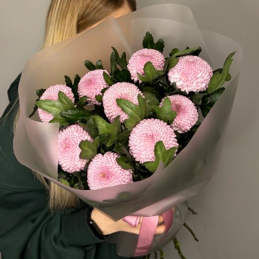 Хризантемы Момоко M