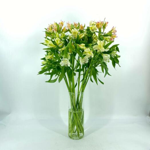 Букет альстромерии 19 шт без упаковки