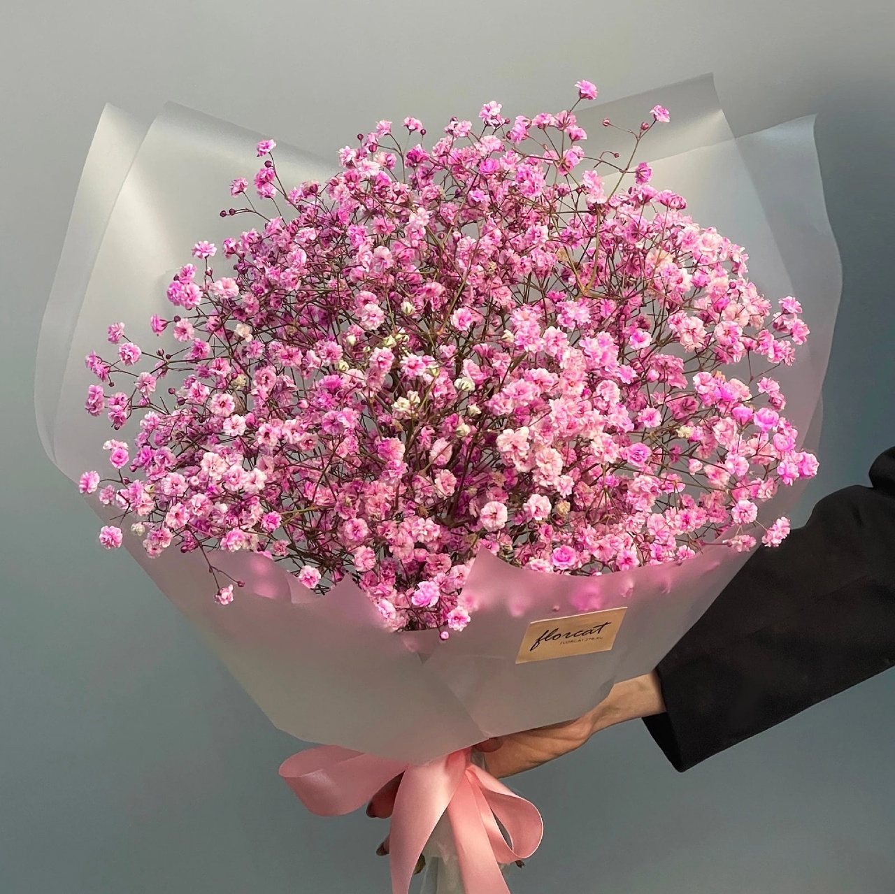21 gypsophila