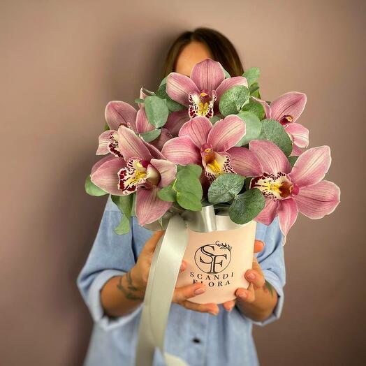Розовая орхидея в коробке с эвкалиптом. Букет 12 Scandi Flora