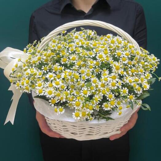 Матрикарии (ромашки) в плетёной корзине