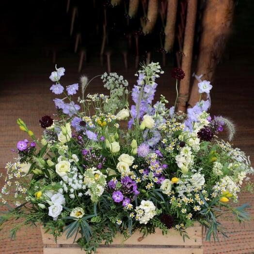 Ящик с ромашками и полевыми цветами